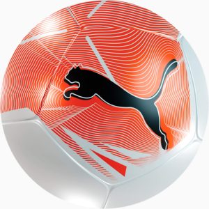 Big Cat Mini Soccer Ball