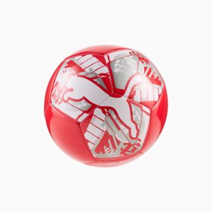Big Cat Mini Soccer Ball