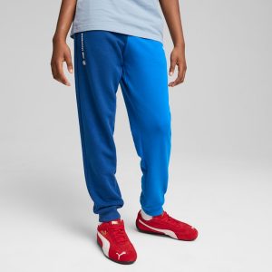 BMW M Motorsport Essentials Big Kids' Sweatpants