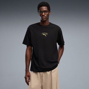 Graphics Stadium Men's Relaxed Tee