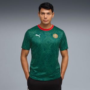 Mexico Soccer Fanwear Men's Jersey