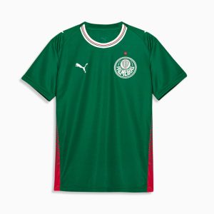 SE Palmeiras Torcedor Home Big Kids' Jersey