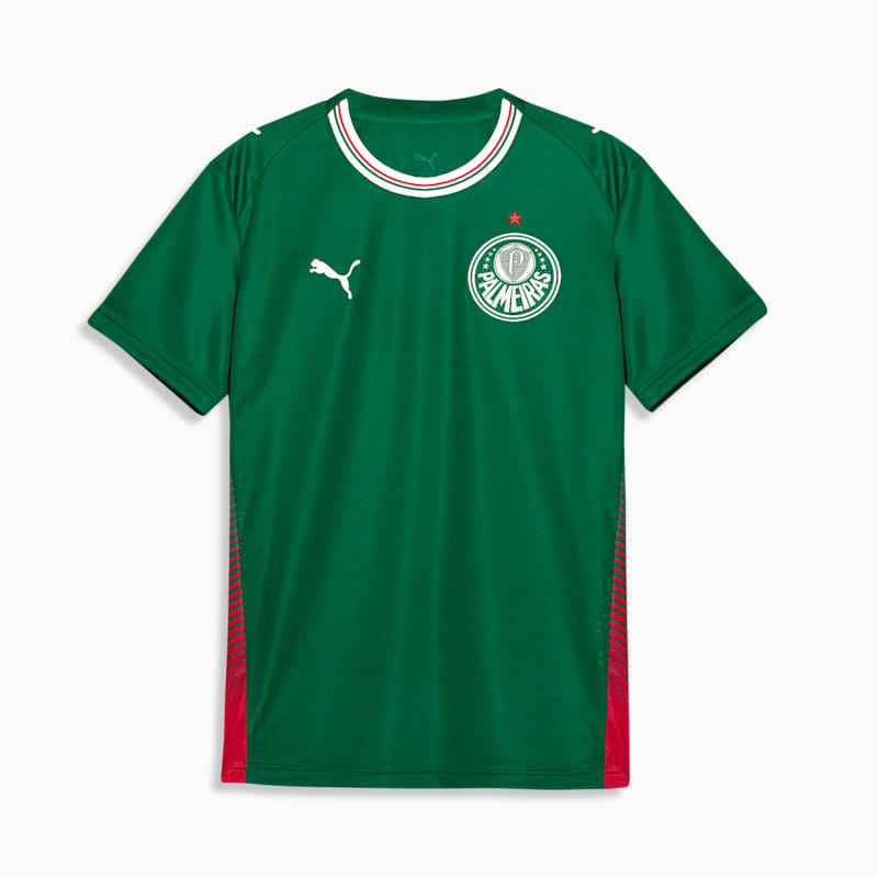 SE Palmeiras Torcedor Home Big Kids' Jersey
